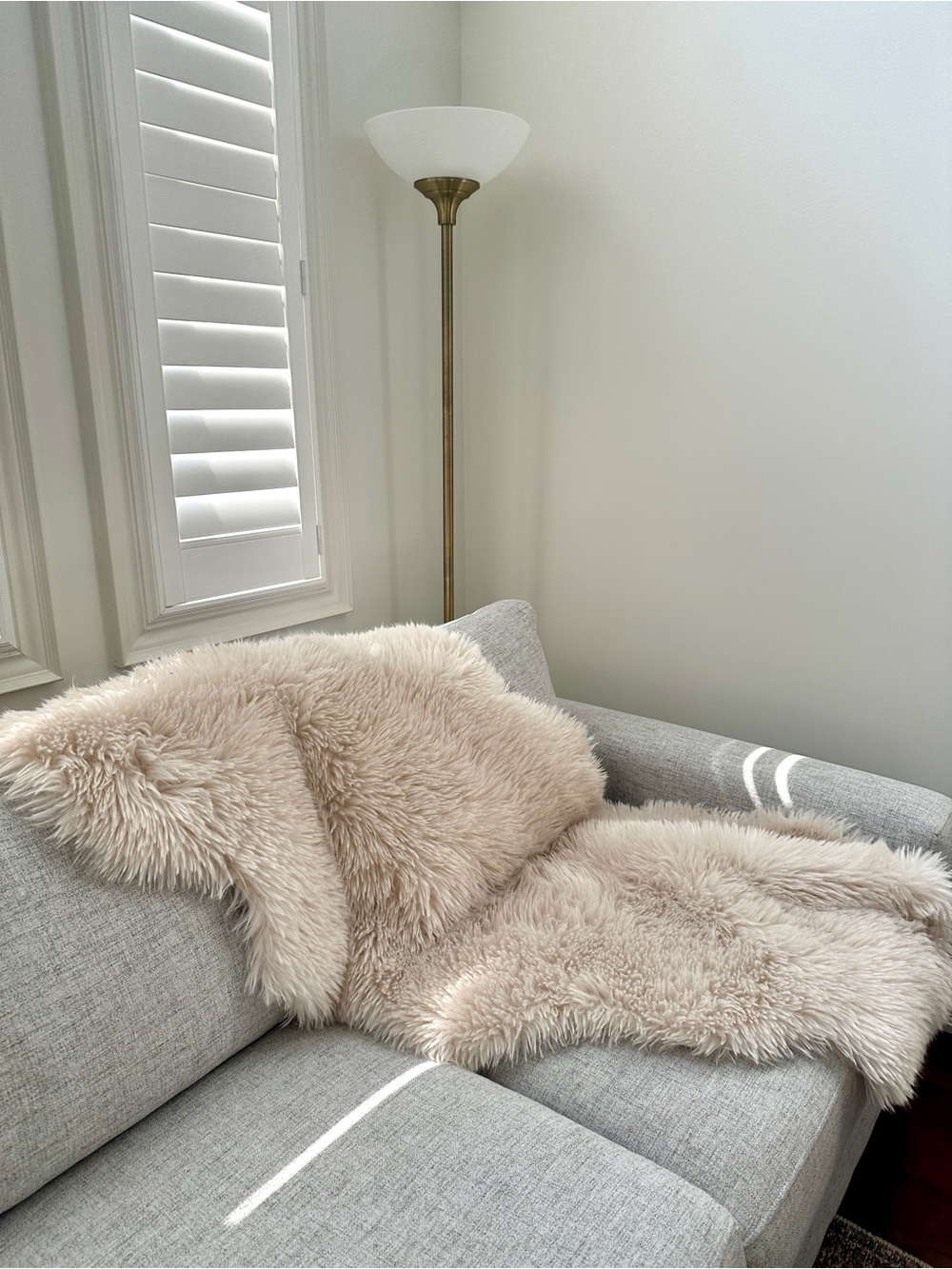 Pottery Barn Faux Fur Hide